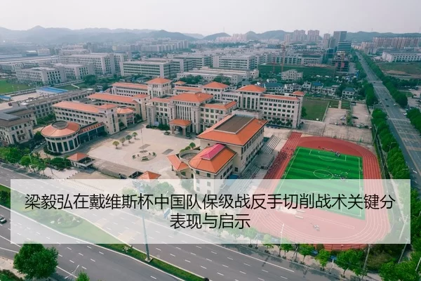 梁毅弘在戴维斯杯中国队保级战反手切削战术关键分表现与启示