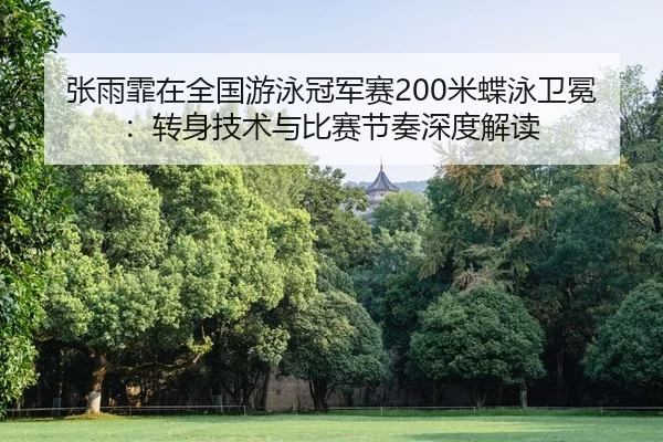 张雨霏在全国游泳冠军赛200米蝶泳卫冕：转身技术与比赛节奏深度解读